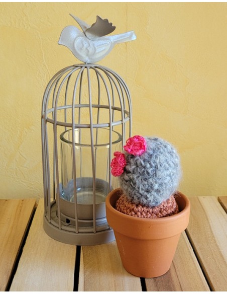 Cactus gris au crochet