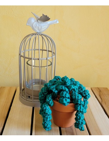 plante verte au crochet