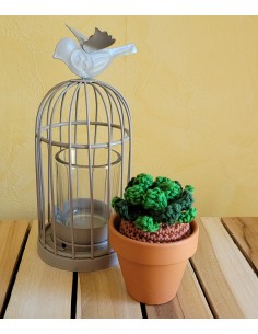 plante verte au crochet