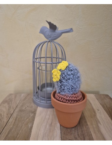 Cactus gris au crochet