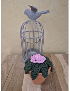 plante verte et fleur rose au crochet