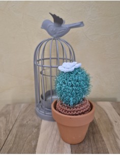 Cactus vert au crochet