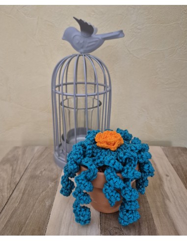 plante verte au crochet